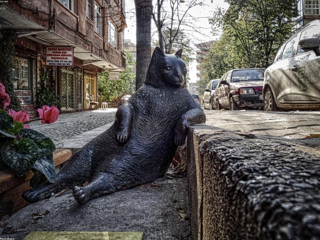 ααΆαααΆααααααααΈα‘αΆ: ααααΆααααΉαααΆααααααα
α
α·ααα